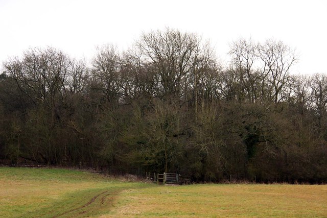 Bridleway to Hen Wood