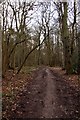 Bridleway through Hen Wood