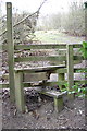 Stile on path Mansfield Road to Dale Road