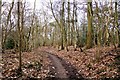 Bridleway through Hen Wood