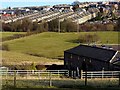 Field east of Liddells Fell Road