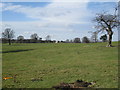 View across the Park to Stoke Hall