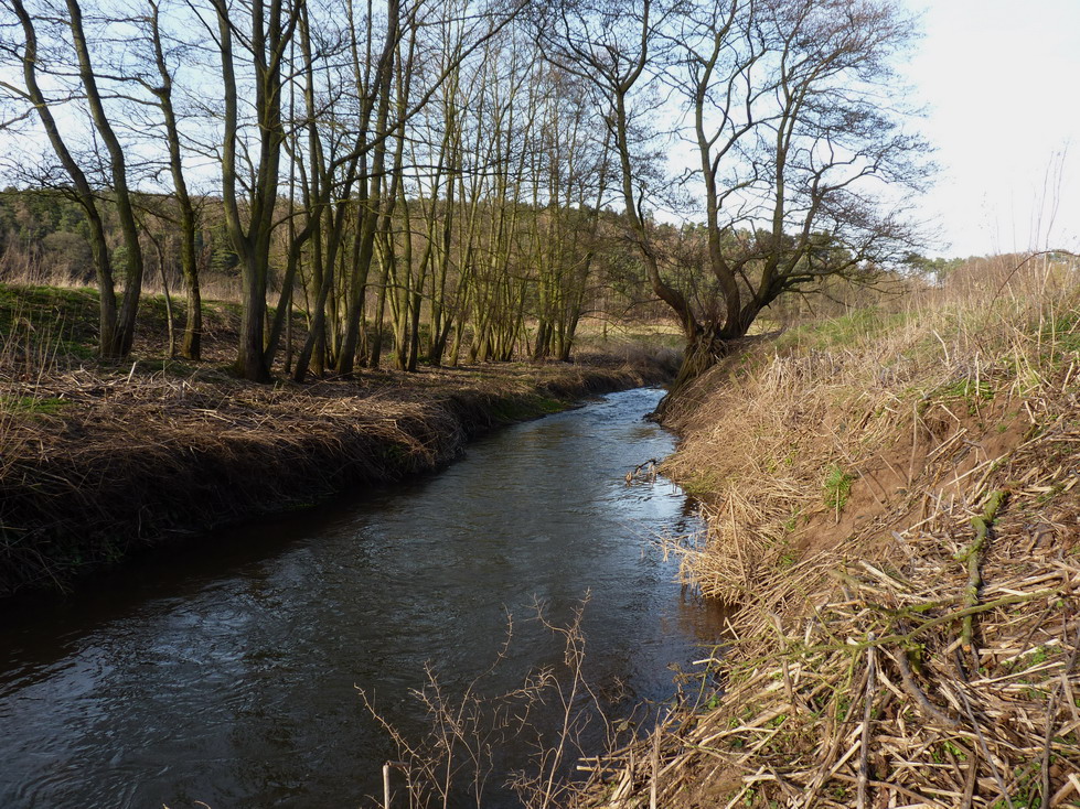 The River Worfe © Richard Law :: Geograph Britain and Ireland