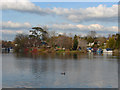 River Thames eyot