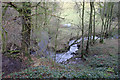 Black Brook meandering