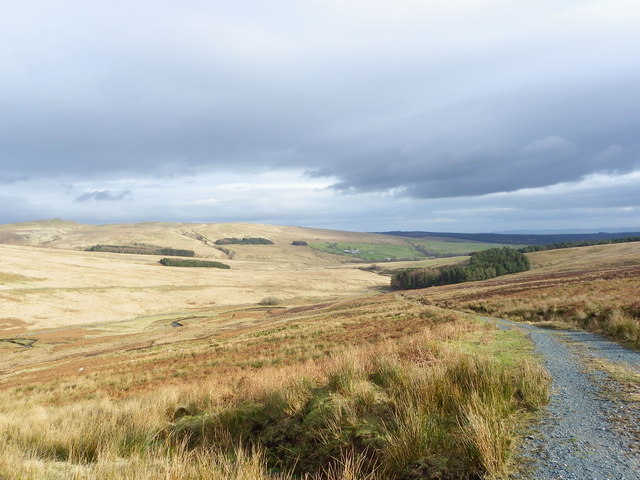 Track to Cross of Greet Bridge - Bowland... © Tom Howard cc-by-sa/2.0 ...