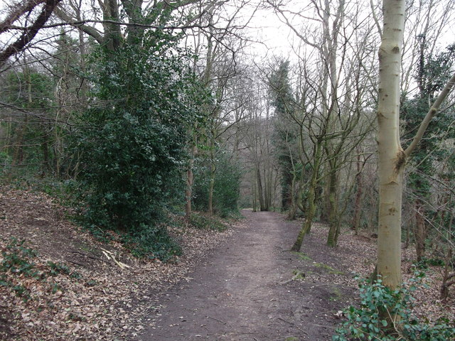 Path in Lesnes Abbey Woods © David Anstiss cc-by-sa/2.0 :: Geograph ...