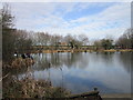 The fishing lake at Rossington