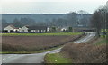 Lane towards Whaley Thorns