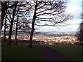 Path in Meersbrook Park