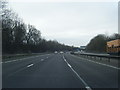 M6 south near New Plantation