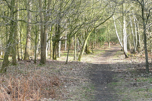 Ride in Black Park Country Park © Graham Horn cc-by-sa/2.0 :: Geograph ...