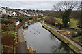 The Peak Forest Canal