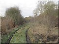 SU5086 : Track in the railbed by Bill Nicholls