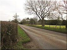 ST0411 : B3440 near Willand Moor by Derek Harper