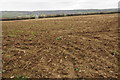 Arable land above the Camel valley