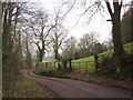 Lane to Burrow Hill Farm