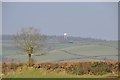 Mid Devon : Hedgerow & Countryside