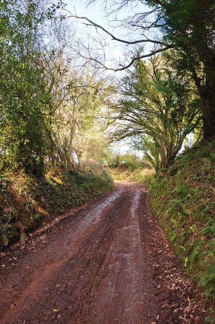 Mid Devon : Track up Barton Hill