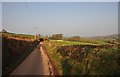 Mid Devon : Country Lane