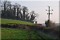 ST0215 : Mid Devon : Grassy Field & Footpath by Lewis Clarke