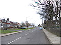 Reevy Avenue - viewed from Saxton Avenue