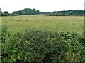 Countryside near Park Farm