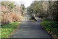 Path by Shenley Brook End allotments