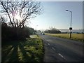 Dartmouth Road, Churston Common