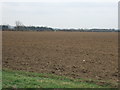 Farmland, Moor Farm