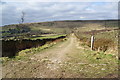 Track on Matley Moor