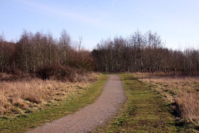 Footpath in Shaw Forest Park © Steve Daniels :: Geograph Britain and ...