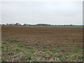 Farmland near Brandon