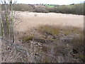 Carlton Marsh Nature Reserve