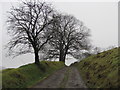 Bridleway south of Evanstown