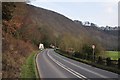 Mid Devon : The A396 Road