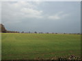 Farmland near South Rauceby