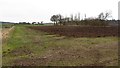 Newly ploughed field