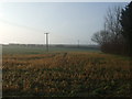 Crop field off South Heath Lane