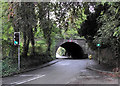 Nantwich Road goes under the canal at Middlewich