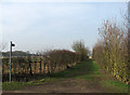 Footpath to Hardwick