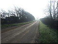 Lane running east towards Pottergate Road