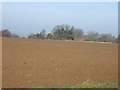 Farmland near Welbourn