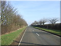 Minor road towards Wellingore