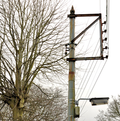 Telegraph pole, Holywood