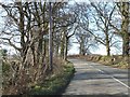 Footpath to West Batsworthy Farm