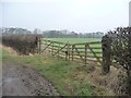 SE7261 : Gates onto Carr Field by Christine Johnstone