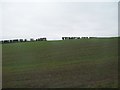 J3667 : Farmland between Cairnshill and Carryduff by Eric Jones