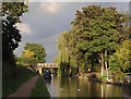 Summer evening on the canal, Middlewich