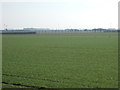 Farmland near Waddington